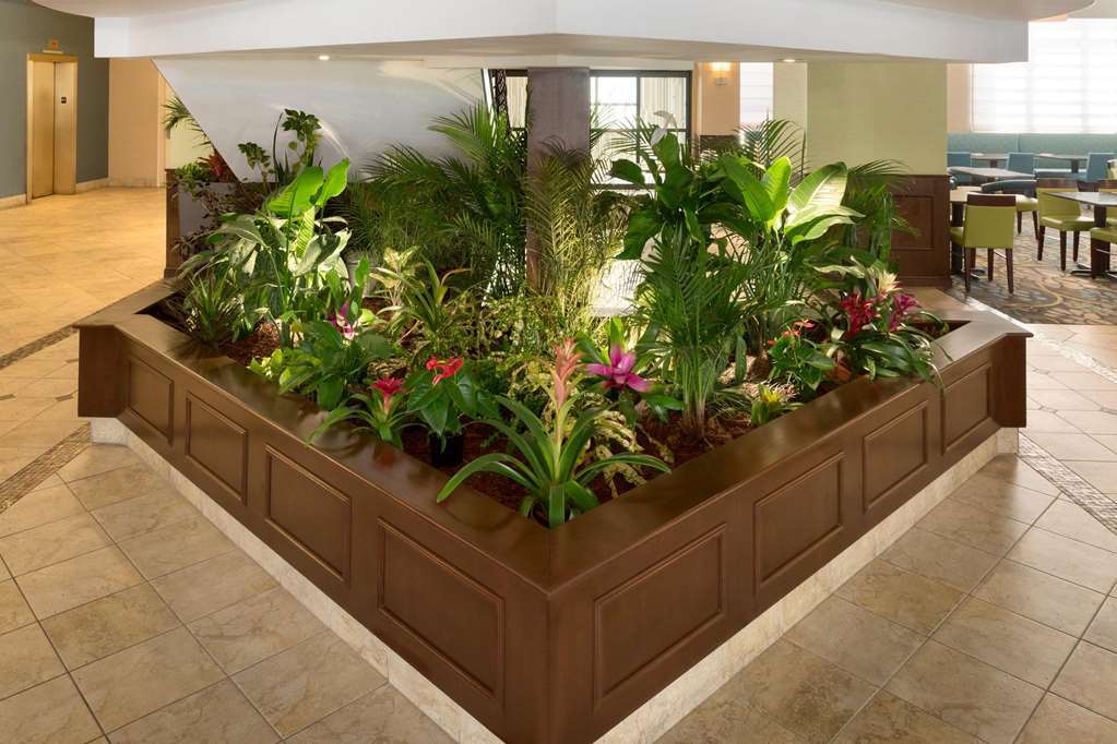 Hilton Garden Inn Устър Интериор снимка